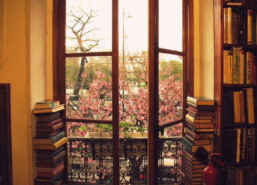 Список моих папок Проза ру за 2025, не все