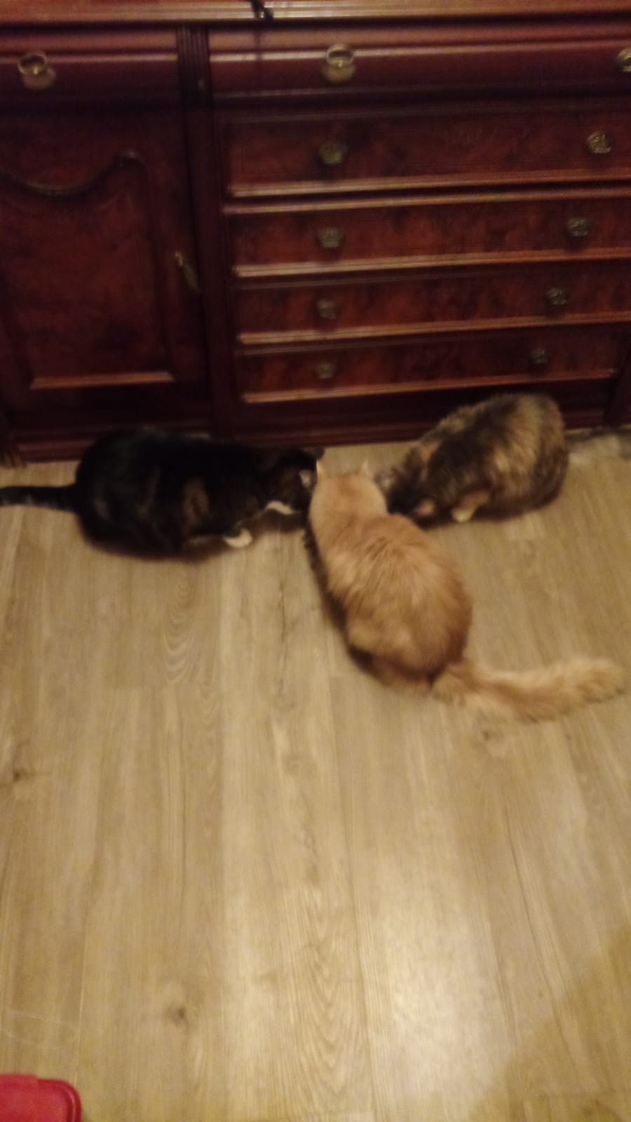 Есть или не жрать вот в чем вопрос 9