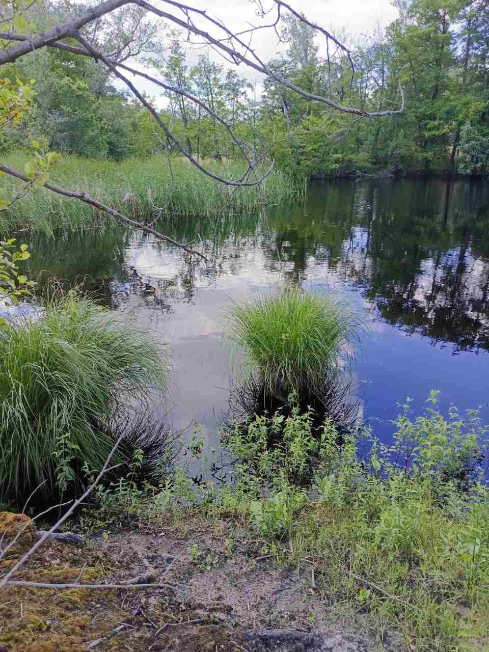 Цените жизнь