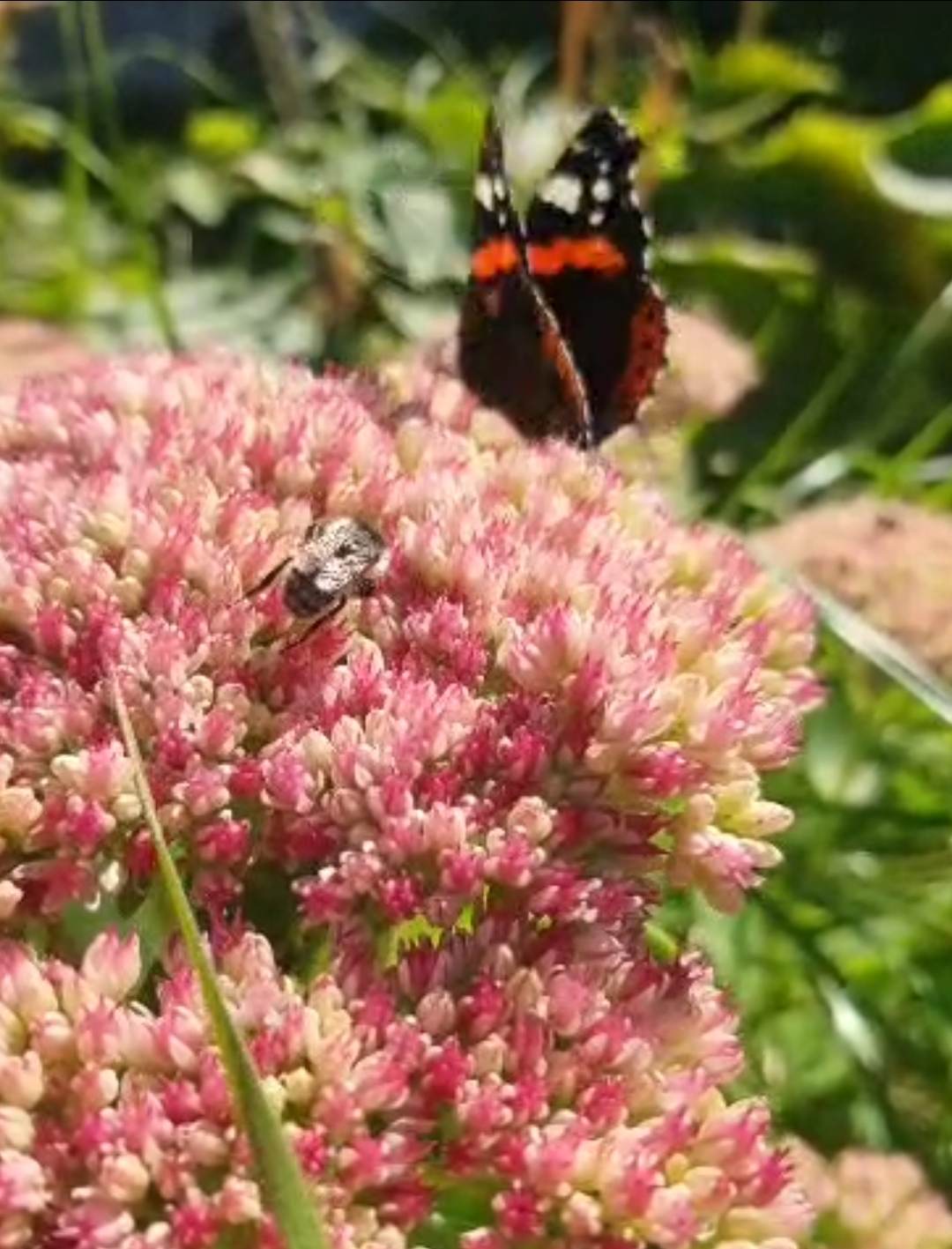 Стоит июльская жара