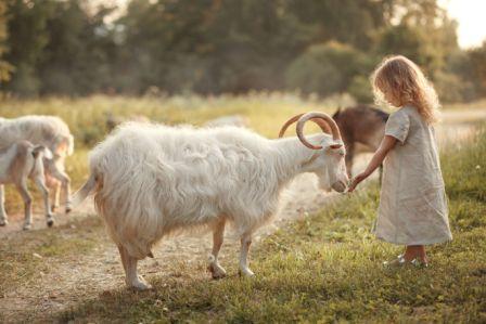 Дуся маленькая пастушка