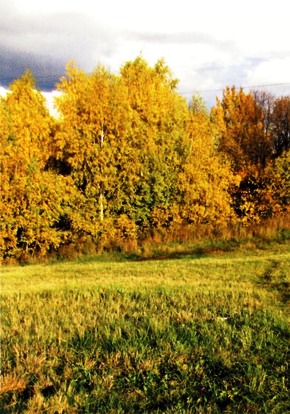 Добрая осень