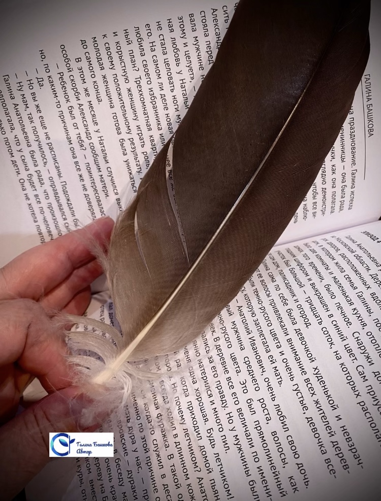 Превратности судьбы. Отрывок из книги