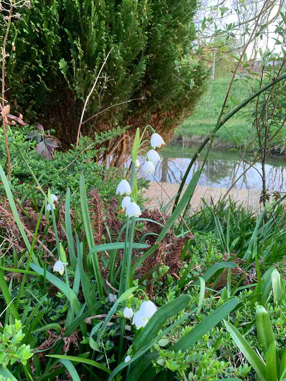 Жизнь просто есть или нет