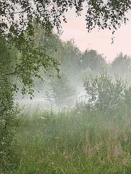https://proza.ru/pics/2025/08/03/1039.jpg
