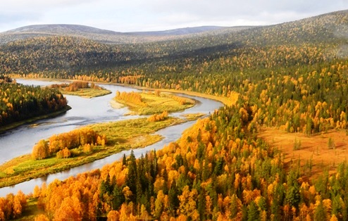 Поезд 005. Эссэ