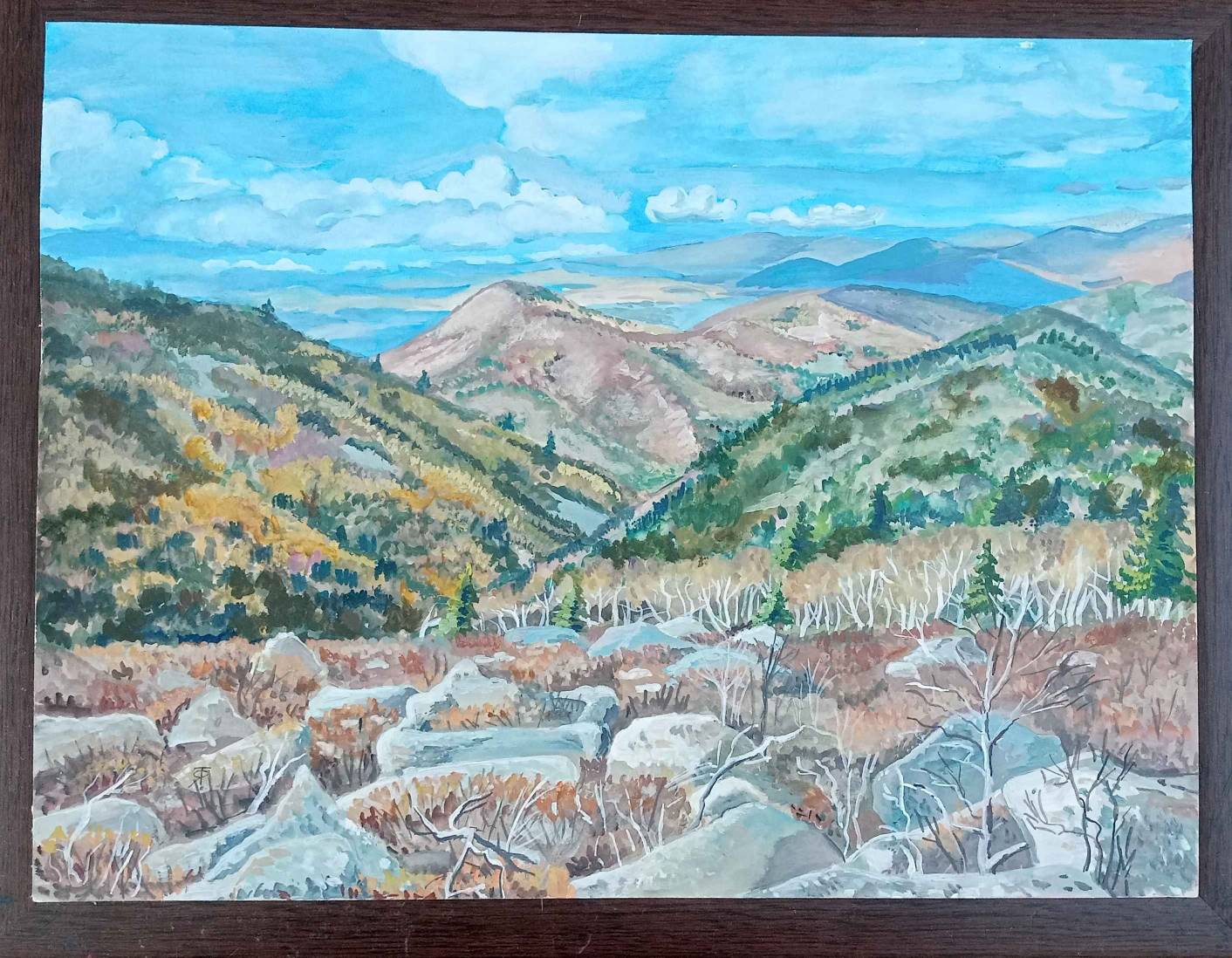 У наших зятей много затей...