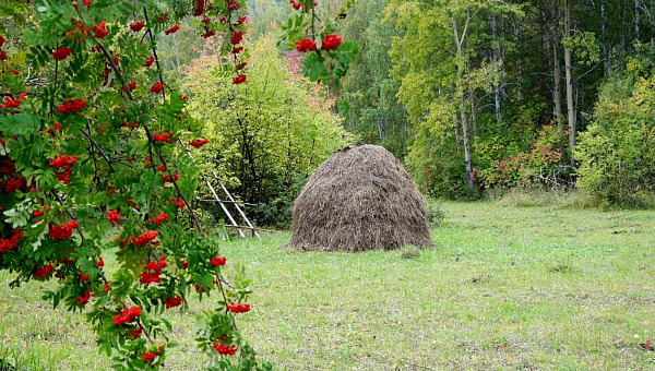 Возвращение на Бачуриху