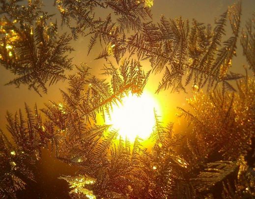 Золотой рассвет