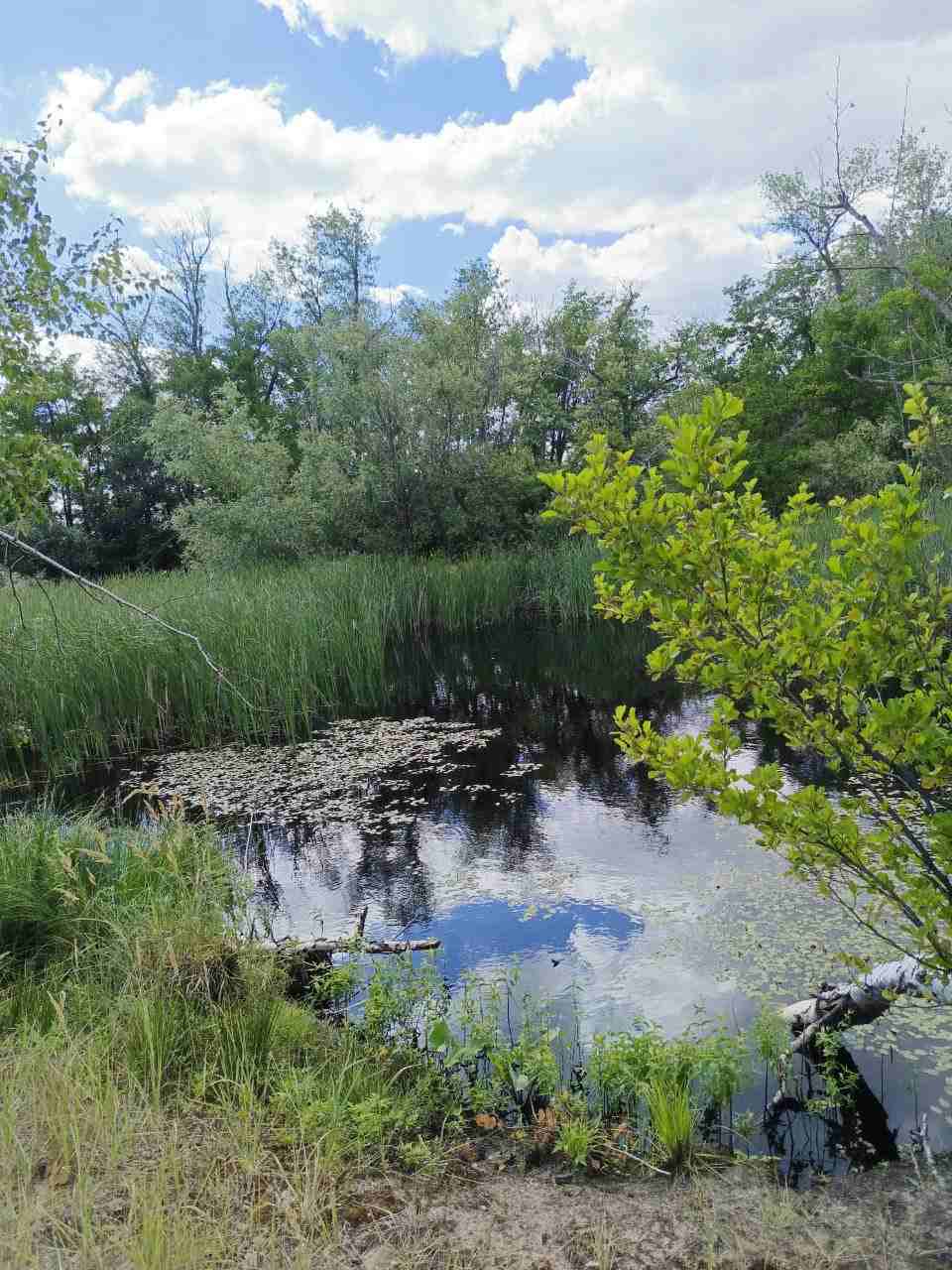 В гармонии с природой пребывай