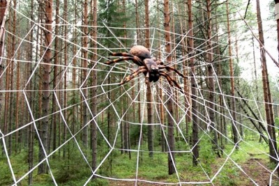 Лучше вширь, чем в глубину