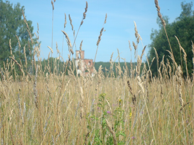 Декабристы... былое