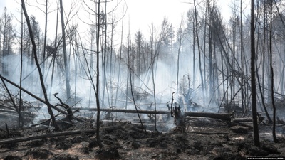 Где-то есть райский сад