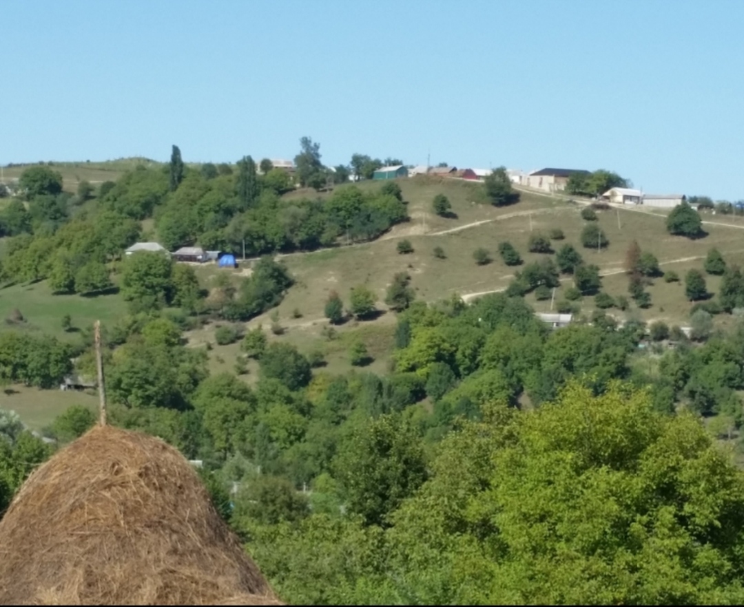 Хьенан б1аьрг хьожур-те...