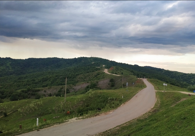 Бераллин сенаш