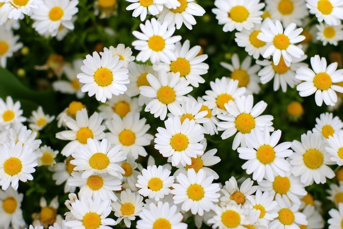 Усть-Лабинская женская колония 3