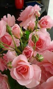 Песенка о Земле, о нас, о Всем Высшем, Боге...