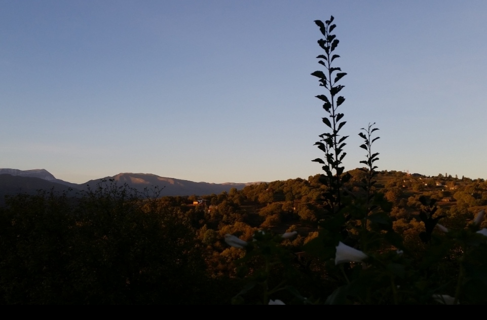 Дахаран терза