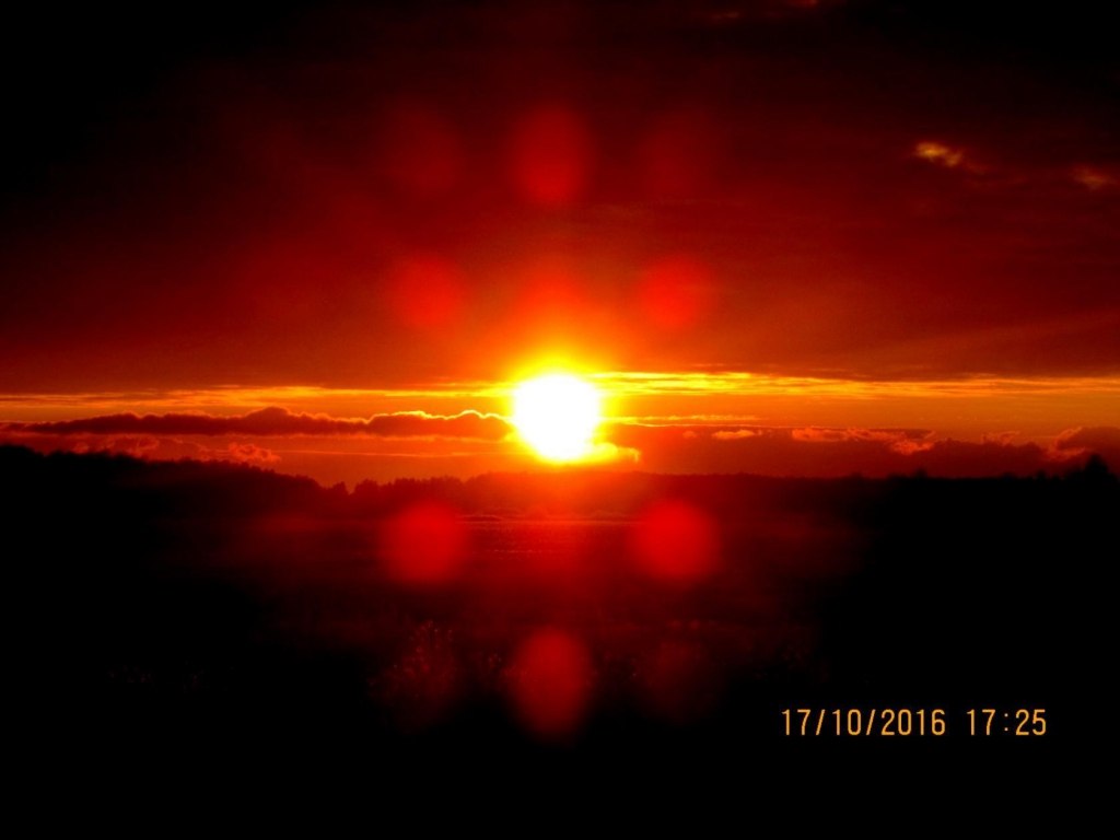 Сказка Светлячка для взрослых