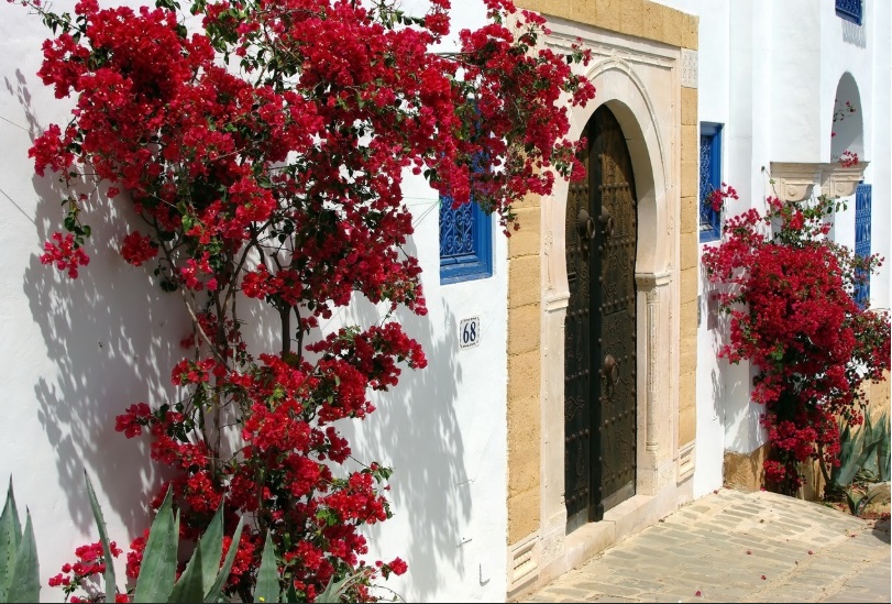 Касабланкa, Зонненблюм, мектуб и Юкали