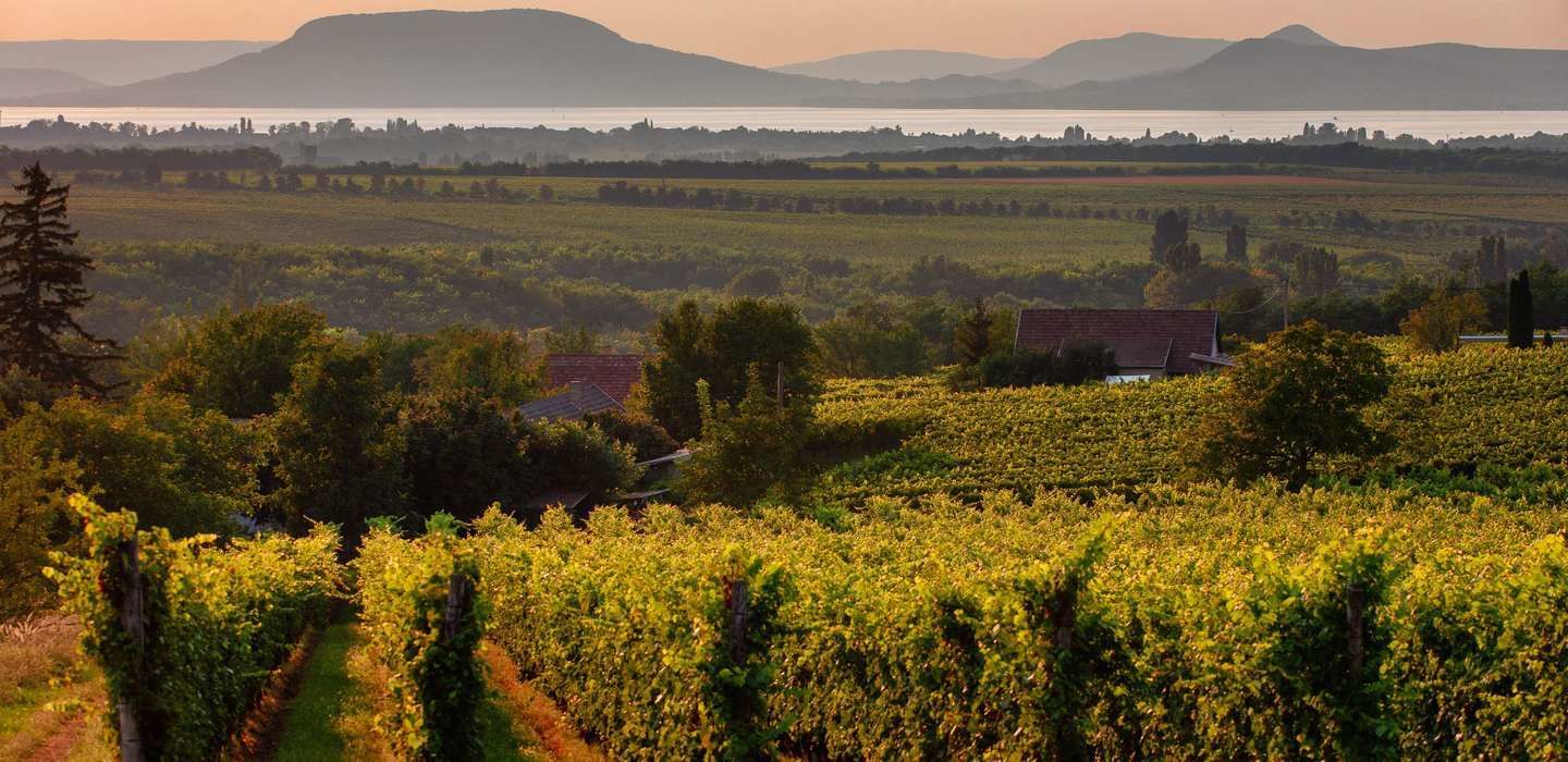 Свен Гедин. От полюса к полюсу. Венгерская равнина