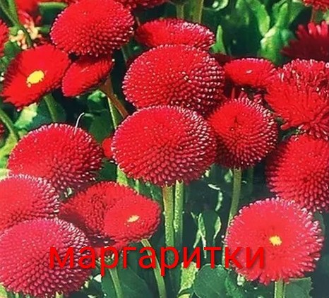 О счастье мы всегда лишь вспоминаем...