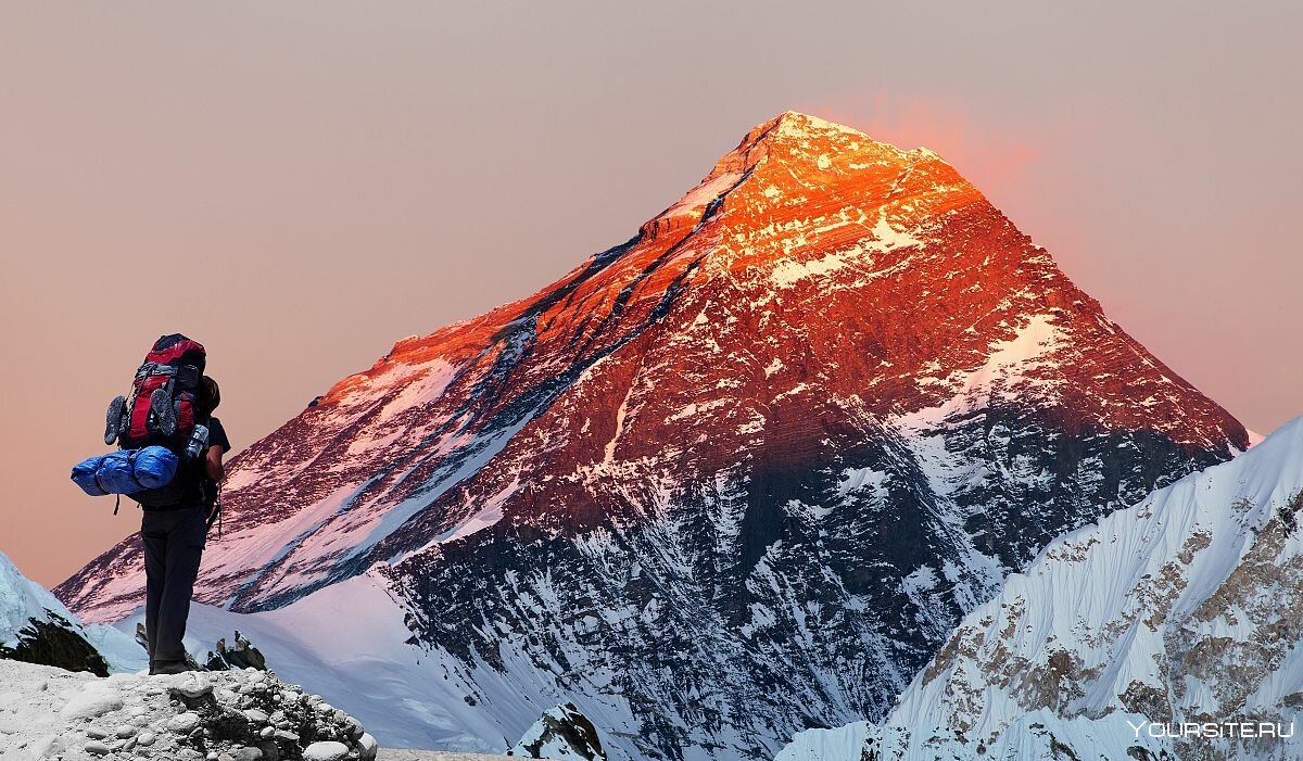 О членстве в писательских союзах...