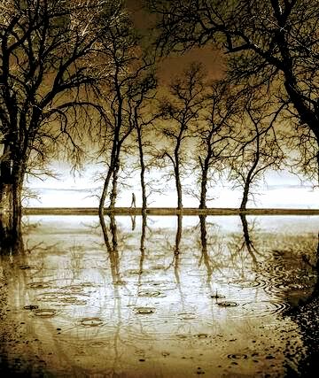 Предчувствие... или 14, 5 мыслей от Автора