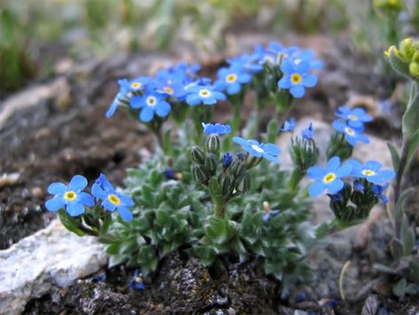 Опоздавшие на праздник жизни. Часть 15