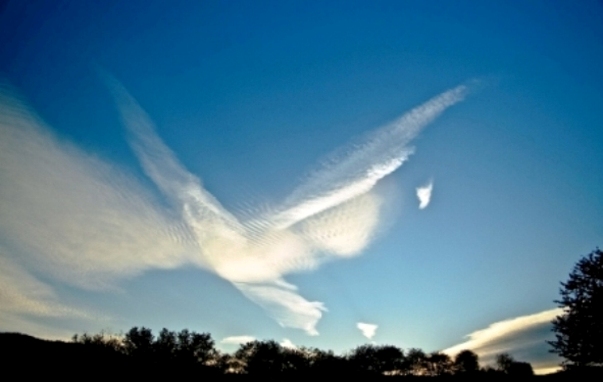 Что наша плоть?