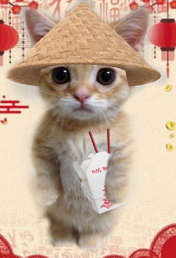 Школа китайского языка