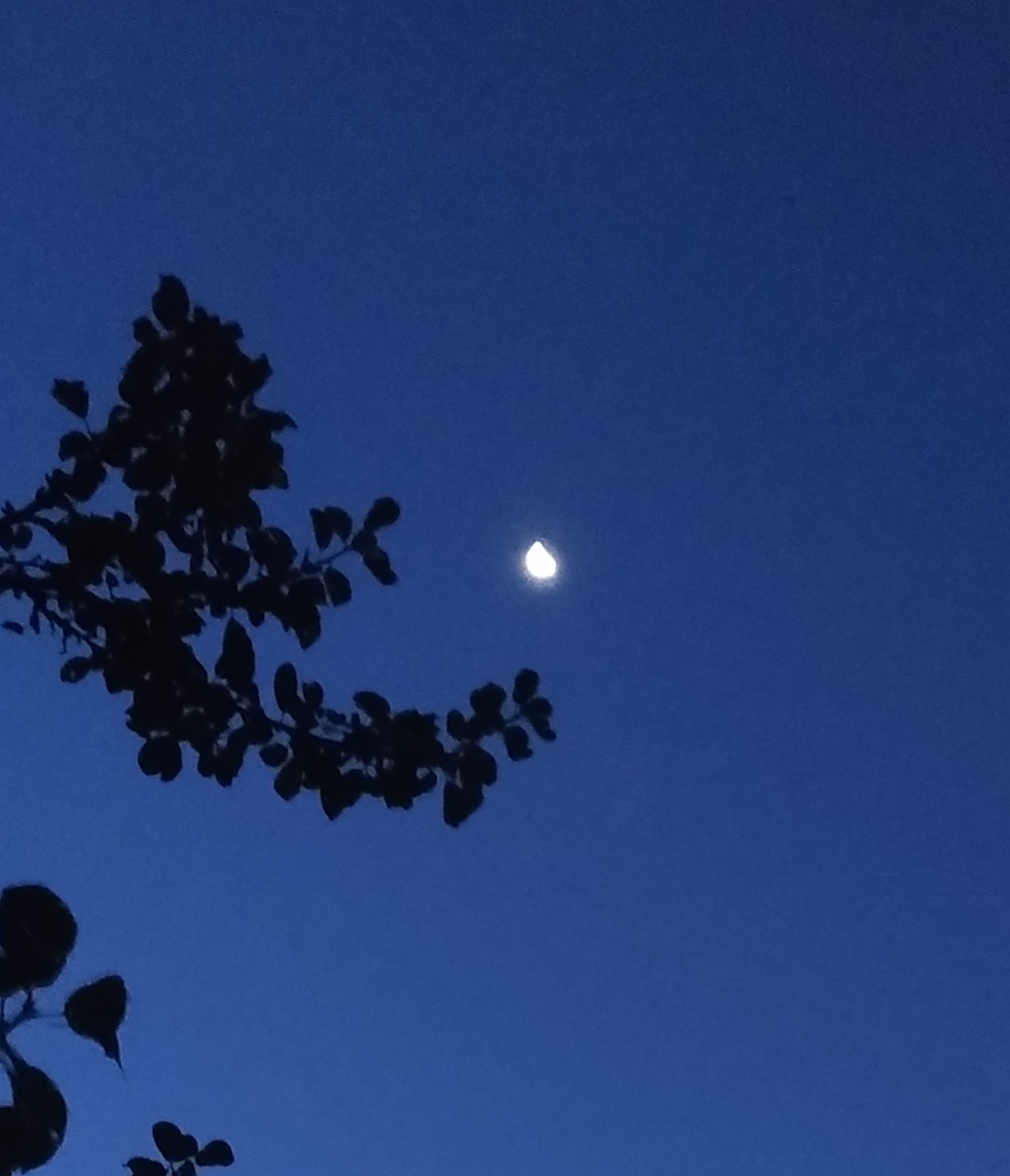 Аьхкенан буьйса