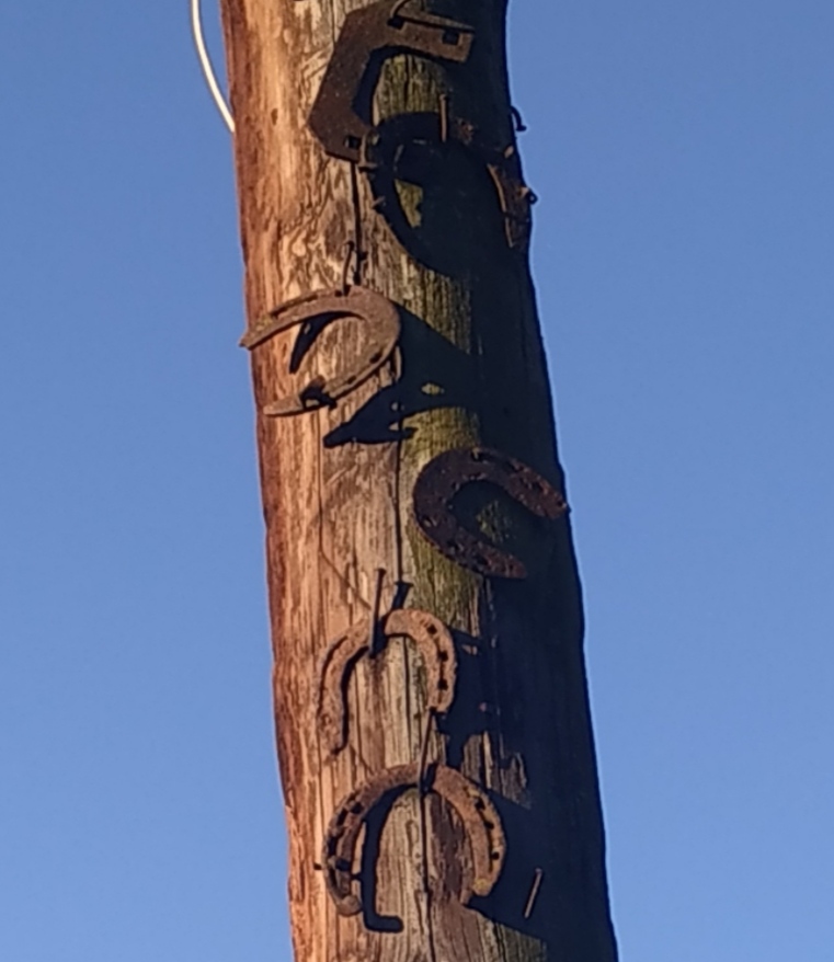 Ирс хилар, цахилар