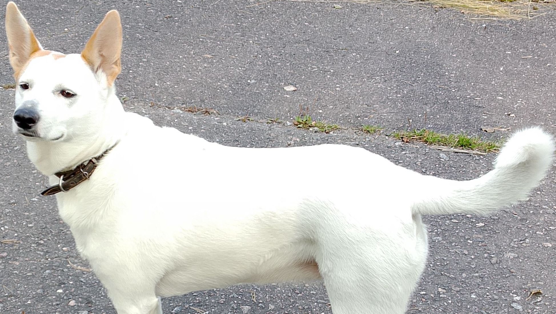 Часть вторая