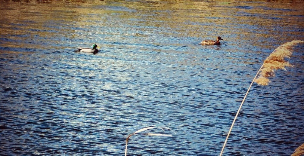 3 Поворот Калейдоскопа