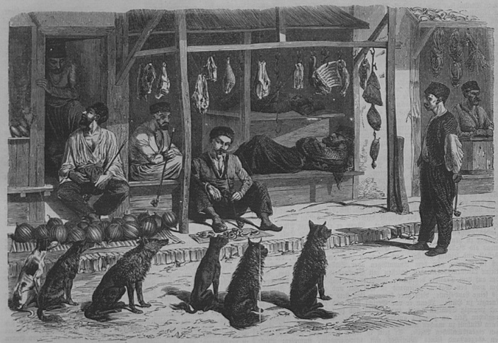 Крымская война 1853-1856. Улица в Бахчисарае