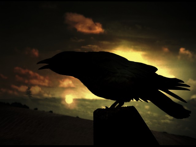 Полигон. Эра милосердия часть 6