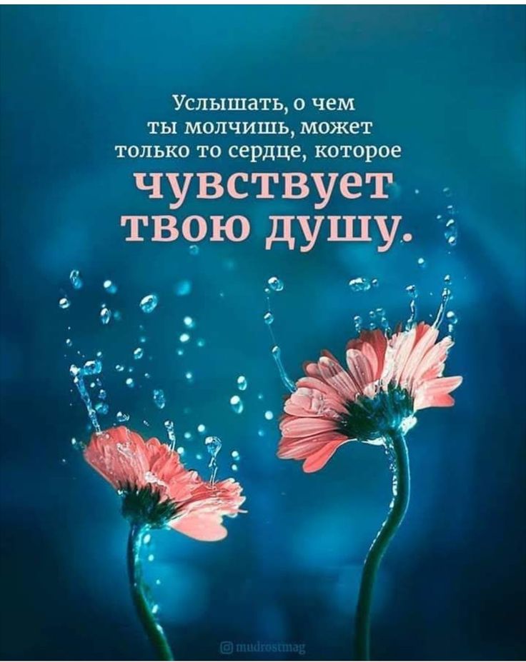 Услышать душу