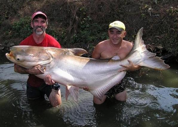 Беседы при луне часть 33