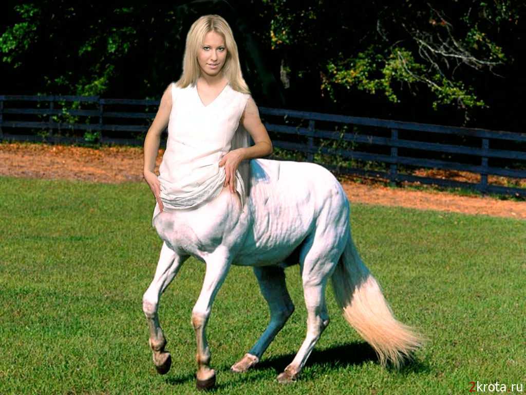 Единороги. Миссия по спасению