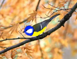 У синицы на хвосте - зима