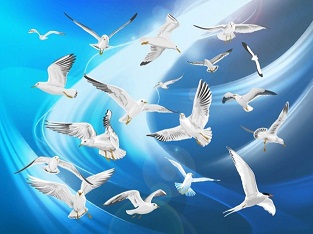 Взрастить духовное