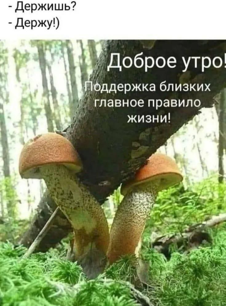 Пуленепробиваемый Трамп. 22 сентября 2025