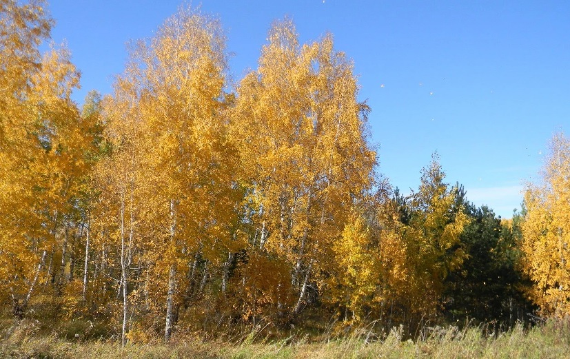 Осень письма пишет