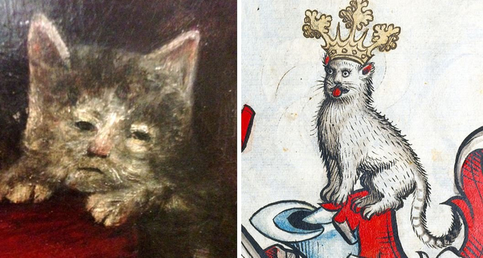 Стражи престолов и символы свободы - котики