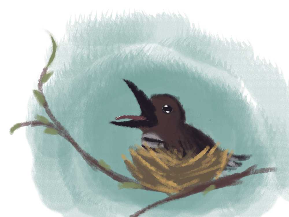 Часть первая. Нагадайте мне счастья...