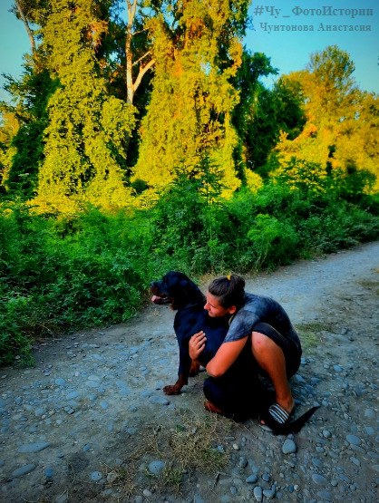 Мои фотоистории. Тайны волшебного леса