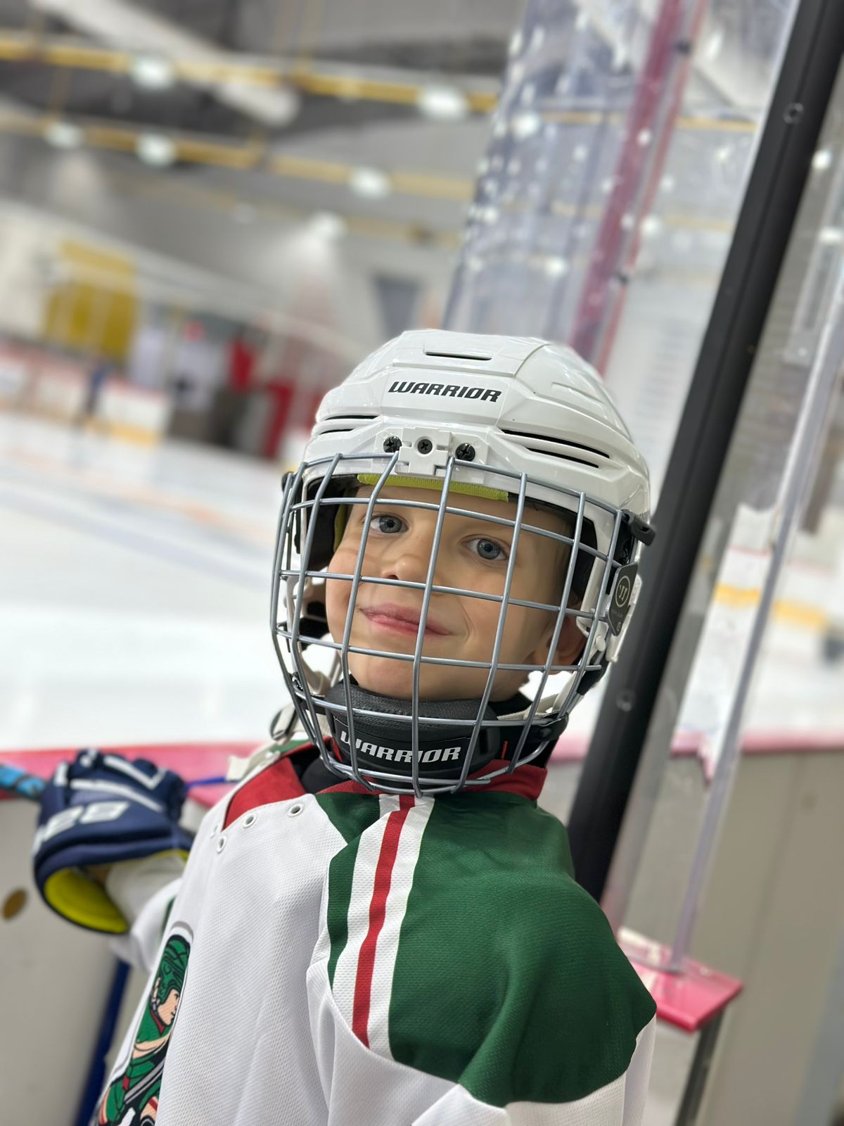 Сказ о Юном хоккеисте и Шайбе