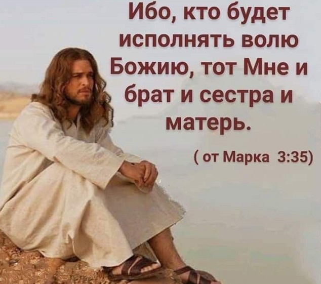 И брат и сестра