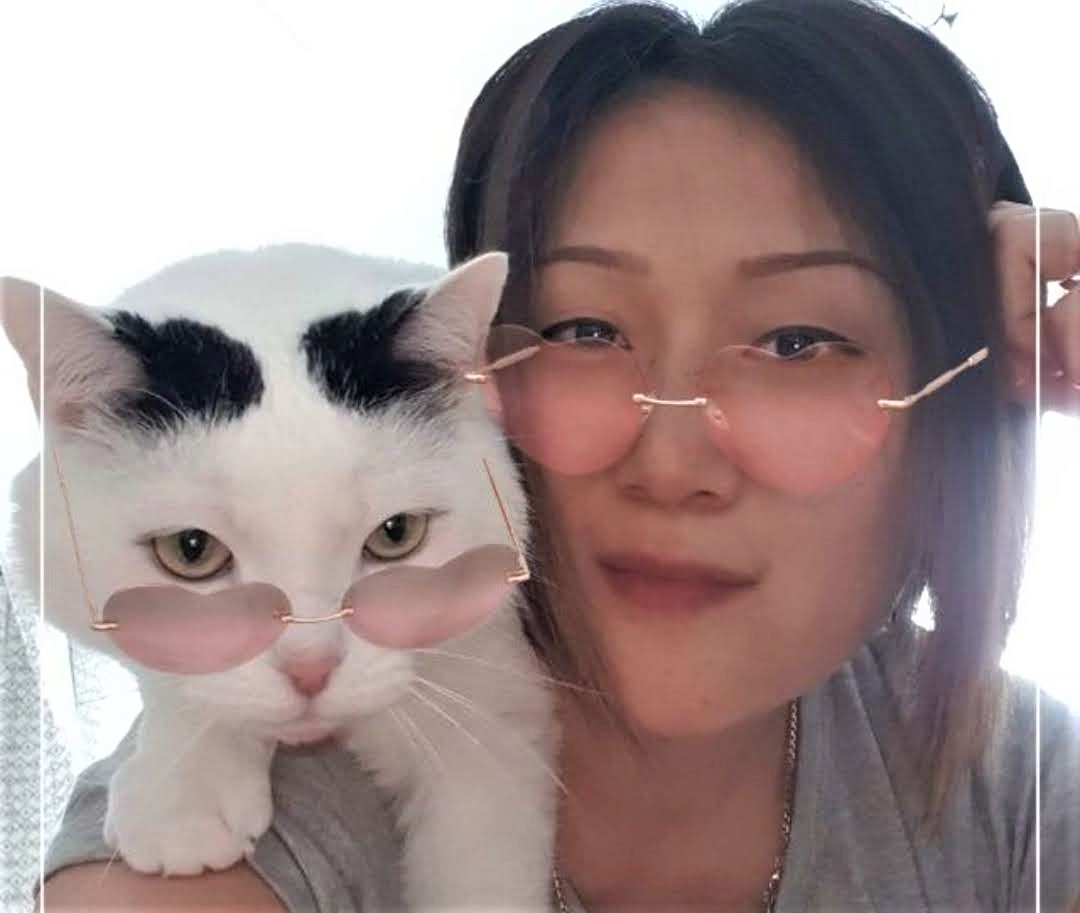 Домашний Кот и его опросник